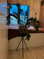 By boo plantenhouder staand, Tuin en Terras, Bloembakken en Plantenbakken, Ophalen, Rond