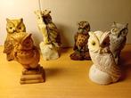 Serie van 6 verschillende uilen, Verzamelen, Beelden en Beeldjes, Ophalen of Verzenden, Nieuw, Dier