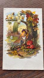 KOEN. Kabouter, paddestoelen, vogels, Ophalen of Verzenden, 1940 tot 1960