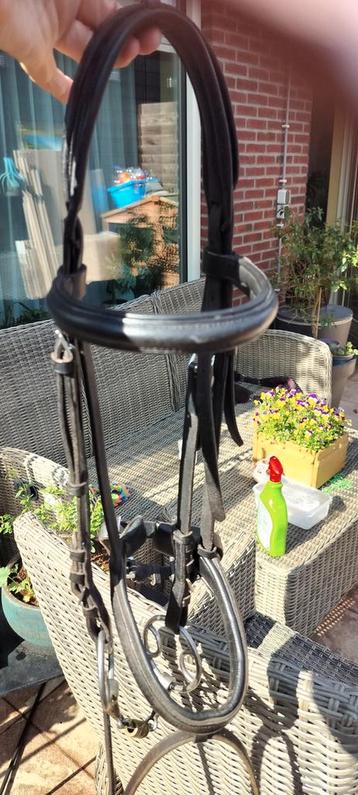 Hoofdstel maat grote cob. beschikbaar voor biedingen