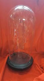 Mooie Glazen Stolp op Houten onderzetter 36 cm, Huis en Inrichting, Woonaccessoires | Stolpen, Ophalen