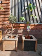 Showroom modellen plantenbakken 50% korting, Tuin en Terras, Bloembakken en Plantenbakken, Hg, Hg, Gh, Ophalen of Verzenden
