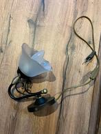 Mooie Wandlamp met Glazen Kap, Ophalen, Gebruikt, Glas