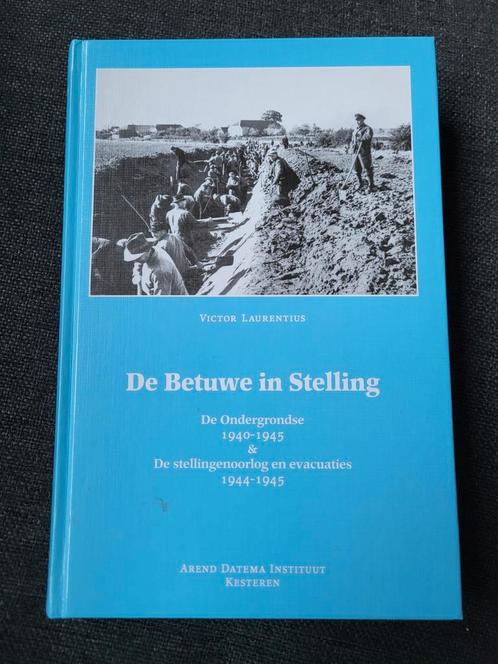 De Betuwe in Stelling- Vincent Laurentius, Boeken, Oorlog en Militair, Zo goed als nieuw, Ophalen of Verzenden