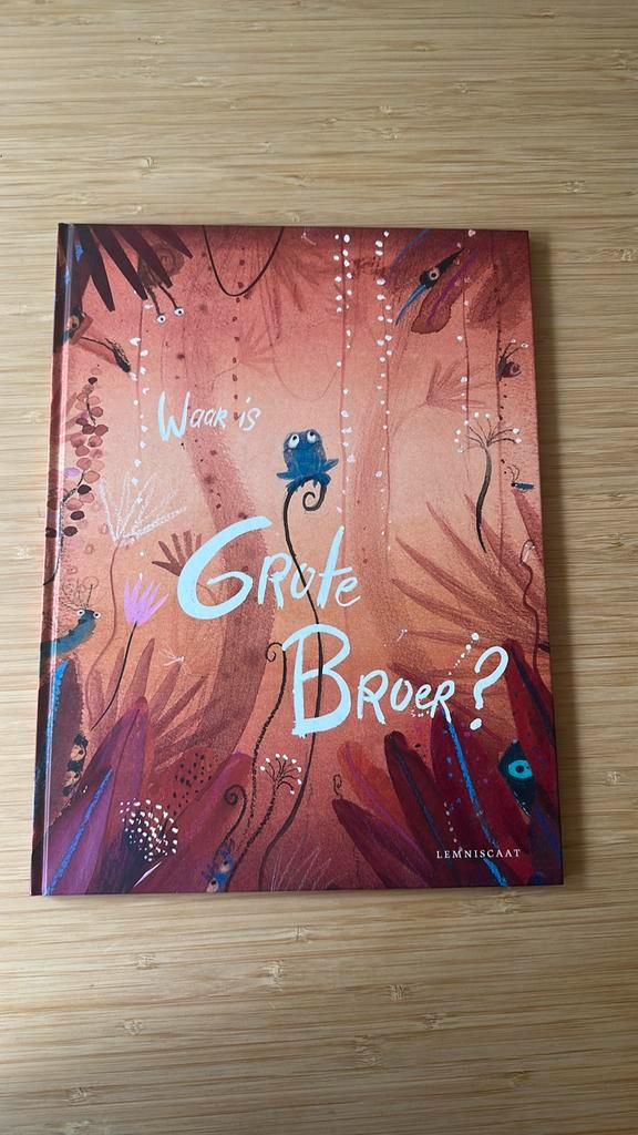 Linde Faas - Waar is Grote Broer?, Boeken, Prentenboeken en Plaatjesalbums, Zo goed als nieuw, Ophalen of Verzenden