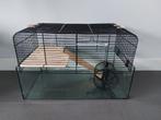 Hamsterkooi voor dwerghamster, Dieren en Toebehoren, Minder dan 60 cm, Kooi, Minder dan 75 cm, Ophalen of Verzenden