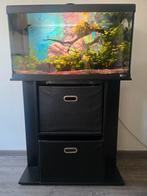 Superfish Start 100 aquarium incl meubel, toebehoren en vis, Dieren en Toebehoren, Vissen | Aquaria en Toebehoren, Ophalen, Zo goed als nieuw