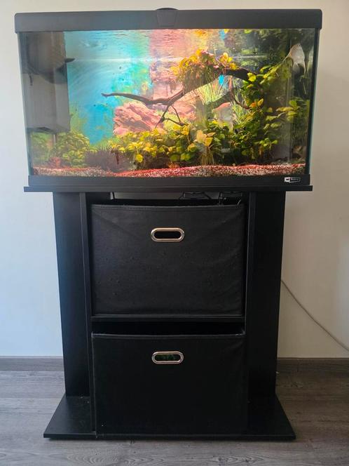 Superfish Start 100 aquarium incl meubel, toebehoren en vis, Dieren en Toebehoren, Vissen | Aquaria en Toebehoren, Zo goed als nieuw