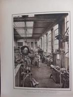 Nederlandsche staalindustrie en Electrostoom, Verzamelen, Krant, Ophalen of Verzenden, Voor 1920