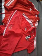 Ajax broek polo en jasje origineel met kaartje, Kleding | Heren, Sportkleding, Ophalen of Verzenden, Voetbal