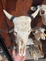 Buffel skelet, Ophalen of Verzenden, Zo goed als nieuw, Paard, Beeldje of Figuurtje