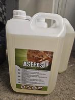 Asepas Beits - Bescherming tegen schimmels! 4x 5 liter, Ophalen, Overige kleuren, 5 tot 10 liter, Nieuw