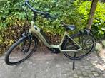 Sparta C Grid, Ophalen, Sparta, Zo goed als nieuw, 51 tot 55 cm
