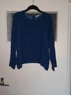 Dames Blouse Van Levi's Maat L, Blauw, Maat 42/44 (L), Ophalen of Verzenden, Zo goed als nieuw