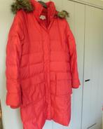 Stoere Jackpot winterjas maat L, Kleding | Dames, Jassen | Winter, Maat 42/44 (L), Jackpot, Ophalen of Verzenden, Gedragen