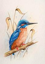 Schilderij IJsvogel, Ophalen of Verzenden, Nieuw, Schilderij, Minder dan 50 cm