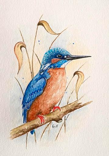 Schilderij IJsvogel beschikbaar voor biedingen