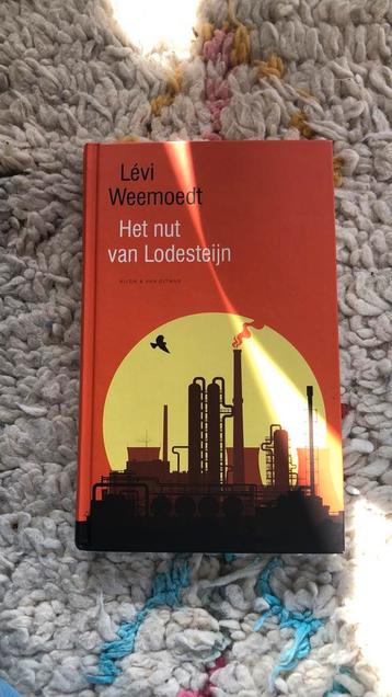 Levi Weemoedt  Het nut van Lodesteijn beschikbaar voor biedingen