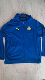 PSV vest warmcell Puma NIEUW, Kleding | Heren, Puma, Blauw, Nieuw, Overige maten