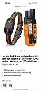 Trainingsband, Dieren en Toebehoren, Ophalen of Verzenden, Nieuw