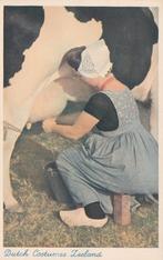 ZEELAND Klederdracht Koe Melken kl.f., Verzenden, 1940 tot 1960, Ongelopen, Zeeland