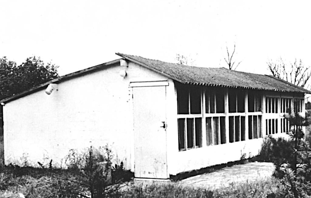 964541 Luyksgestel N Br 1968 Vakantiehuisje Bungalow, Ophalen of Verzenden, 1960 tot 1980, Gelopen, Noord-Brabant
