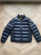Parajumper winterjas Dillon maat XL origineel, Kleding | Heren, Jassen | Winter, Zwart, Maat 56/58 (XL), Parajumpers, Ophalen of Verzenden