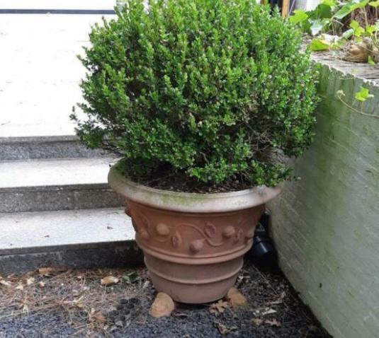 Grote Oude Toscaanse terracotta bloempot 72cm, Tuin en Terras, Bloempotten, Zo goed als nieuw, Terracotta, Binnen, Balkon, Tuin