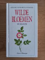 WILDE BLOEMEN in kleur, bloemengids van Geert Hüsstege, ZGAN, Boeken, Natuur, Ophalen of Verzenden, Zo goed als nieuw, Bloemen, Planten en Bomen