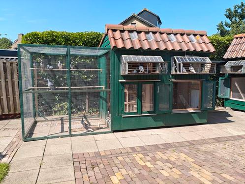 Budelse duivenhokken, Dieren en Toebehoren, Vogels | Hokken en Kooien, Gebruikt, Hout, Ophalen