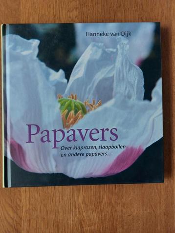 Papavers, Hanneke van Dijk beschikbaar voor biedingen