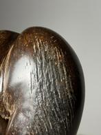 Coco de Mer op custom standaard, Ophalen