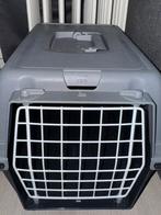 schone kat, Dieren en Toebehoren, Katten en Kittens | Raskatten | Korthaar, Poes