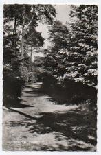 Nunspeet Houtduiflaan 1961, Verzamelen, Ansichtkaarten | Nederland, Ophalen, 1960 tot 1980, Gelopen, Gelderland