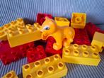 duplo leeuw en blokken, Ophalen of Verzenden, Zo goed als nieuw, Duplo