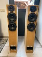 Zelfbouw transmissielijn luidsprekers, Audio, Tv en Foto, Luidsprekers, Overige merken, Gebruikt, Ophalen of Verzenden, 60 tot 120 watt