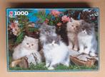 Te koop 1000 stukjes Jumbo Perzische kittens bloemen katje, Ophalen of Verzenden, 500 t/m 1500 stukjes, Zo goed als nieuw, Legpuzzel