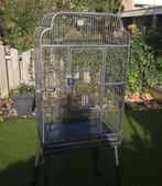 Vogelkooi, Dieren en Toebehoren, Ophalen, Gebruikt, Metaal, Vogelkooi