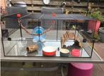 Hamster of knaagdier verblijf van Ferplast, Dieren en Toebehoren, Knaagdieren en Konijnen | Hokken en Kooien, Gebruikt, Ophalen