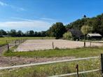 Stalling en weidegang, Weidegang, 1 paard of pony