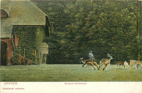 (388-166-009) Arnhem Sonsbeek Hertenkamp, Verzamelen, Ansichtkaarten | Nederland, Gelderland, Verzenden