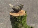 2 bronzen vogeltjes / MUSSEN /nieuw, Tuin en Terras, Tuinbeelden, Dierenbeeld, Nieuw, Info@huisentuindecoratiemarie.nl, Huis en tuin decoratie marie