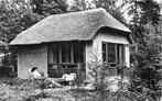 (388-331-051) Doorn Het Grote Bos, Verzenden, Utrecht