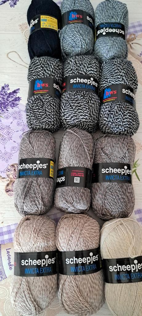 Scheepjes Invicta Sokkenwol/ sokkengaren- 12 Bollen, Hobby en Vrije tijd, Breien en Haken, Nieuw, Breien of Haken, Wol of Garen