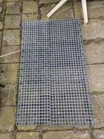 Plastic roosters voor duiven, Meerdere dieren, Postduif