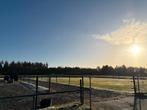 Stal aangeboden Mastbos Breda, Dieren en Toebehoren, Stalling en Weidegang, Weidegang, 1 paard of pony