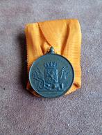 Medaille Voor Trouwe Dienst - Nederland, Ophalen of Verzenden, Nederland, Lintje, Medaille of Wings