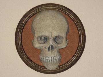 menselijke Schedel REPLICA op Wandbord, Skull mens Wanddeco beschikbaar voor biedingen