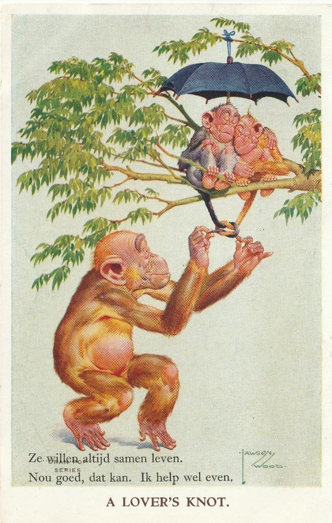 AAP APEN TEKN LAWSON WOOD UIT 1956 ZEER MOOIE KAART KJ431, Verzamelen, Ansichtkaarten | Themakaarten, Gelopen, 1940 tot 1960, Overige thema's