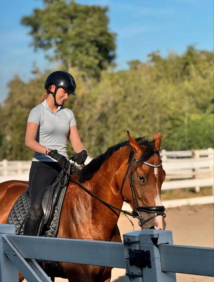 Mooie goudeerlijke goedbewegende merrie V. bojengelxM.odense, Dieren en Toebehoren, Paarden, Merrie, Recreatiepaard